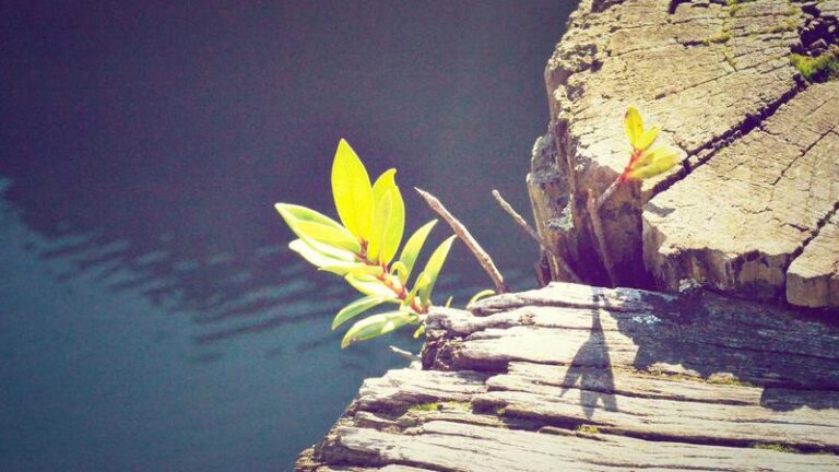 The Silent Symphony of Movement: Decoding Your Body’s Intrinsic Power